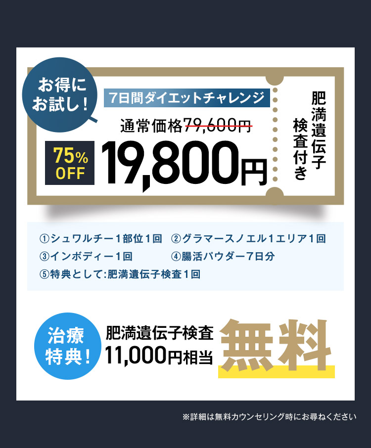 お得にお試し！75%OFF 19,800円