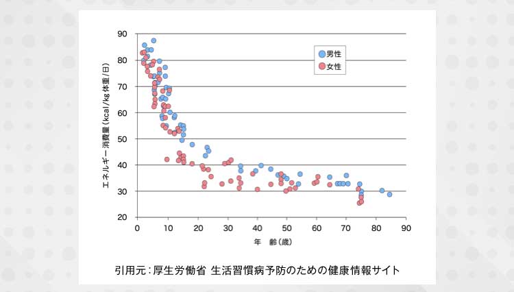 エネルギー消費量のグラフ