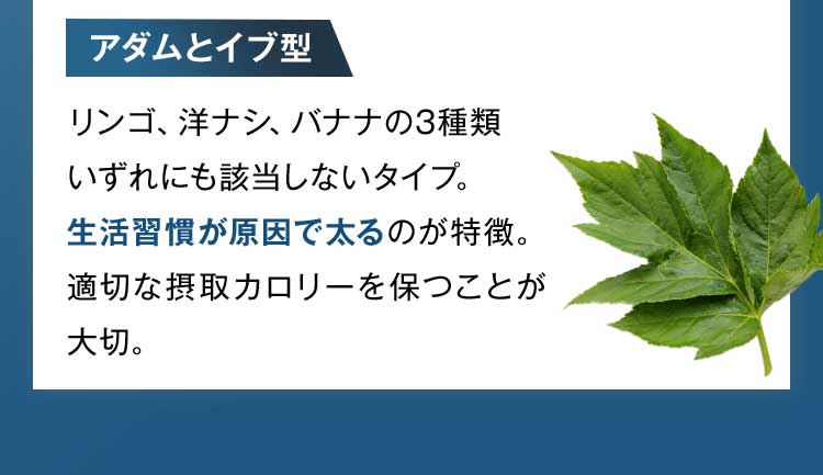 アダムとイブ型：生活習慣が原因で太る