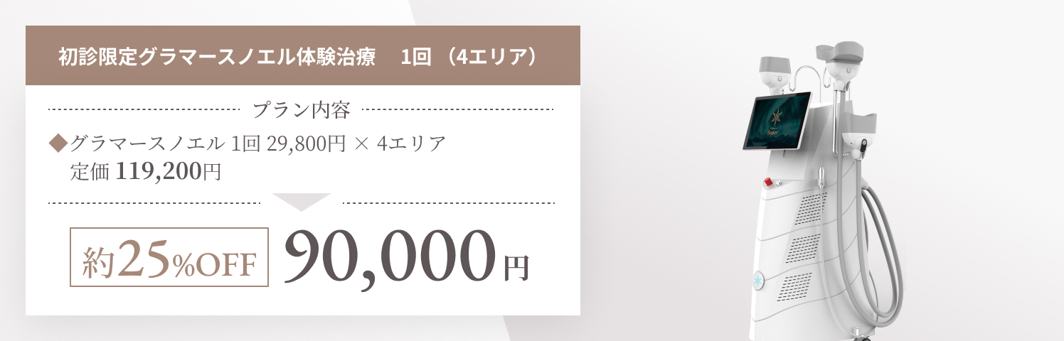 グラマースノエル体験治療　 1回 （4エリア） お試し価格 99,000円