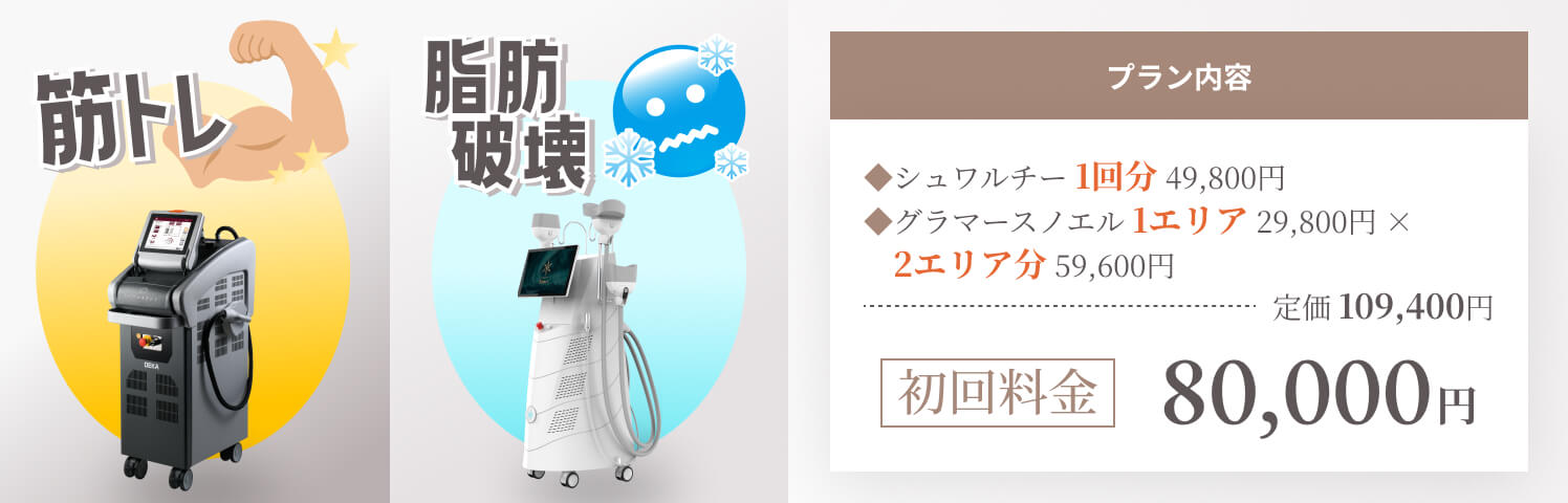 2つのダイエットマシンセット初回治療