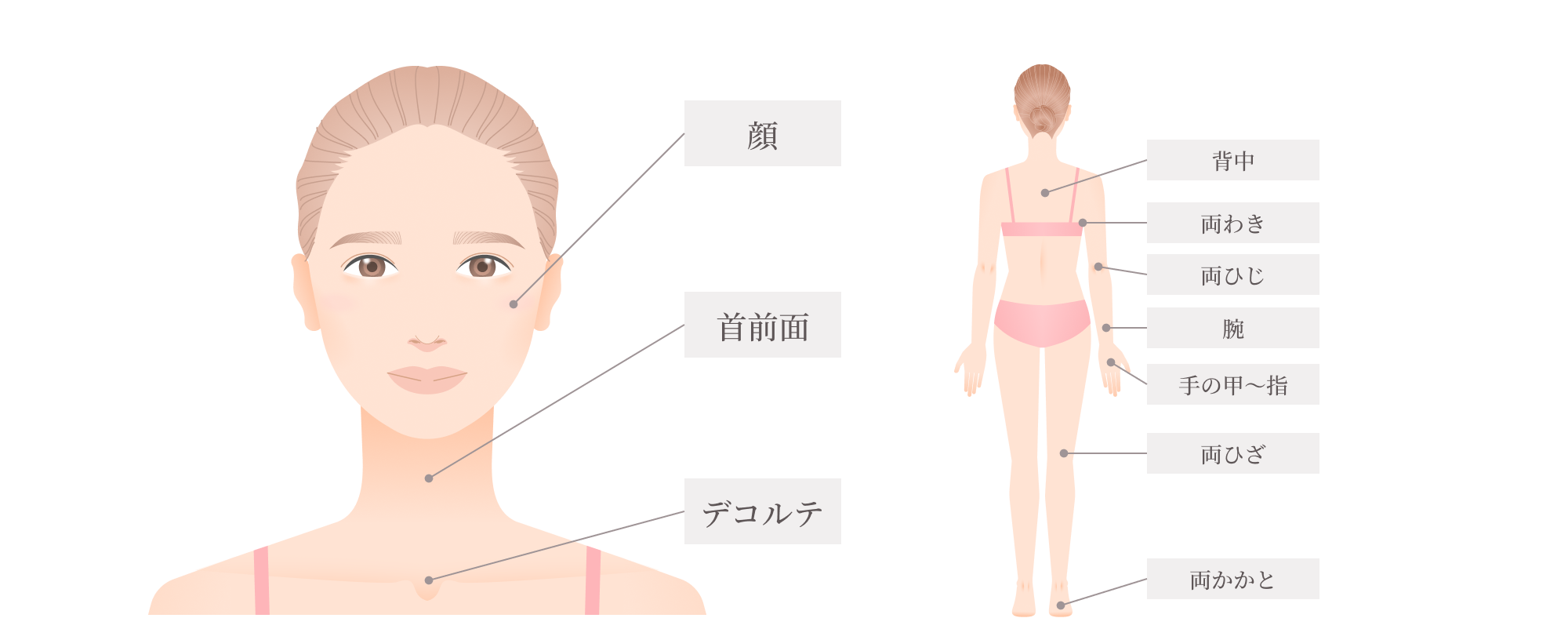 ミラノリピールの適応範囲